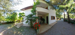 ANTE Accommodation